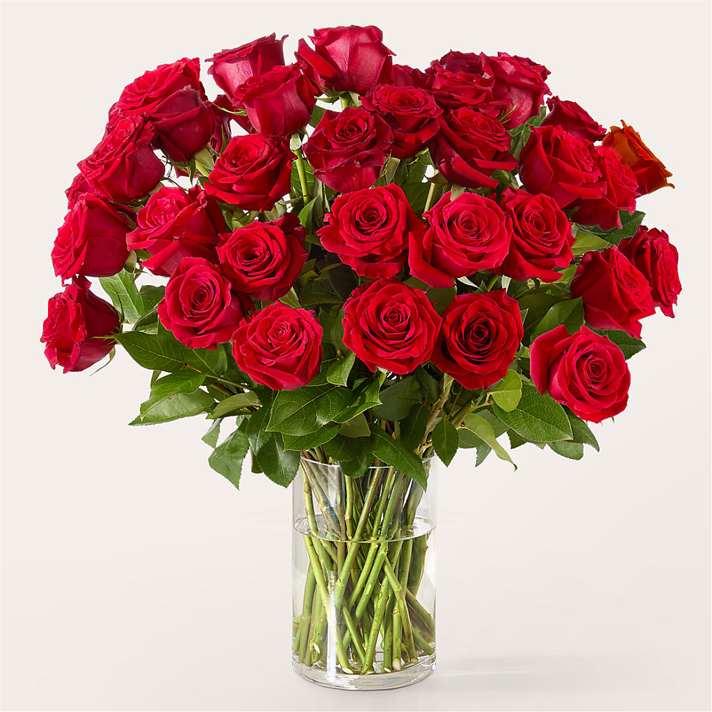 The One Red Rose Bouquet –  Blooms And Gifts, Concord CA