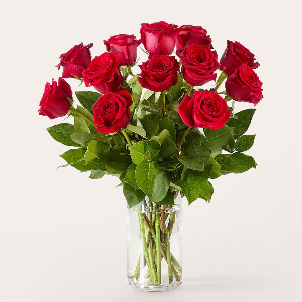 The One Red Rose Bouquet –  Blooms And Gifts, Concord CA