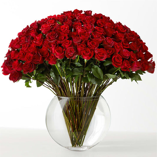 The Idealist –  Blooms And Gifts, Concord CA