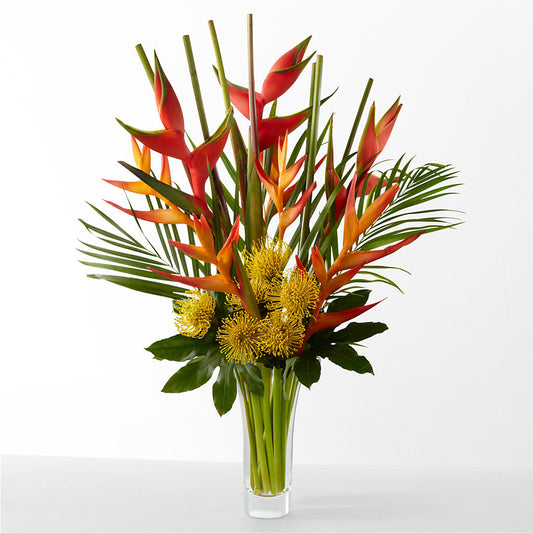 The Drama –  Blooms And Gifts, Concord CA