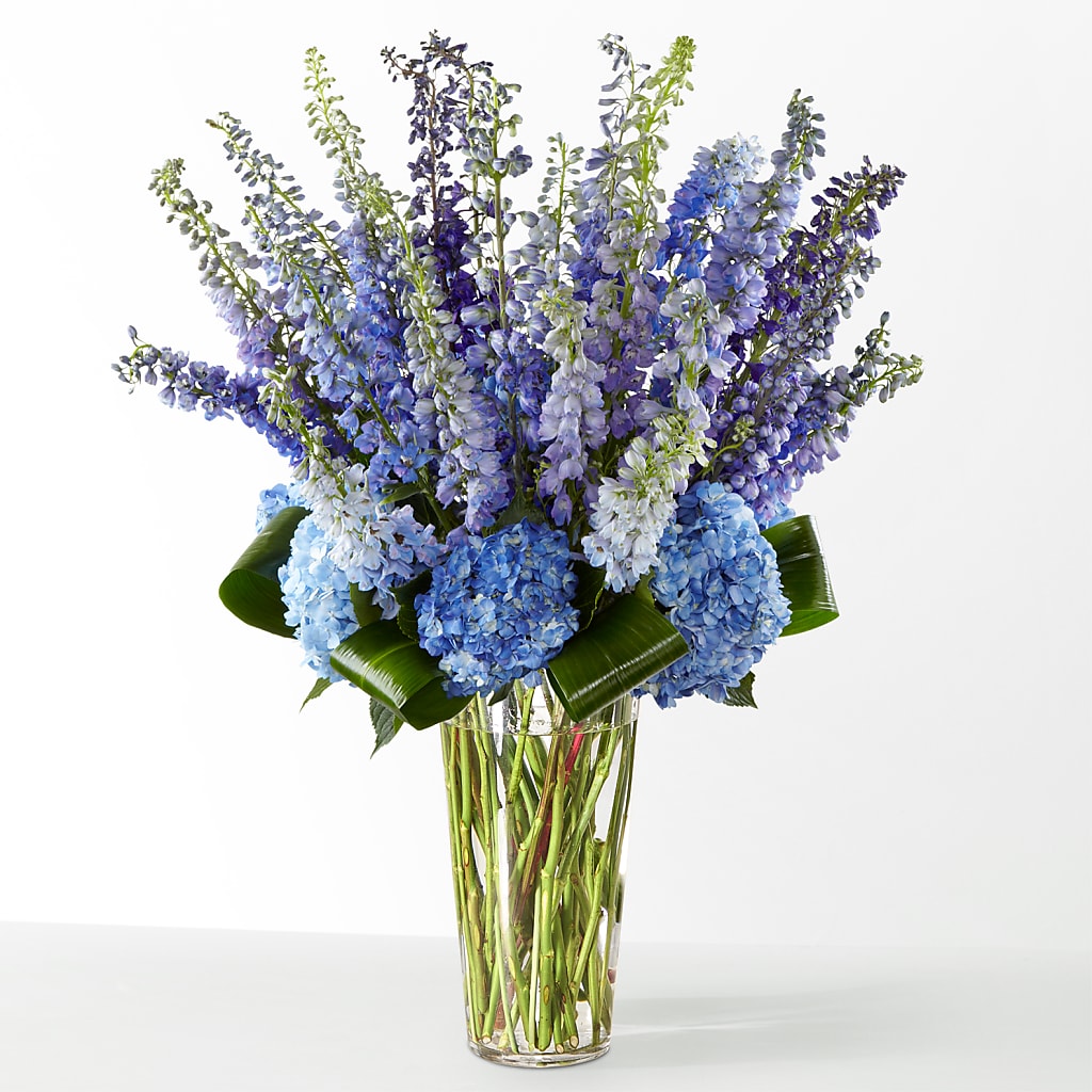 The Editorial –  Blooms And Gifts, Concord CA