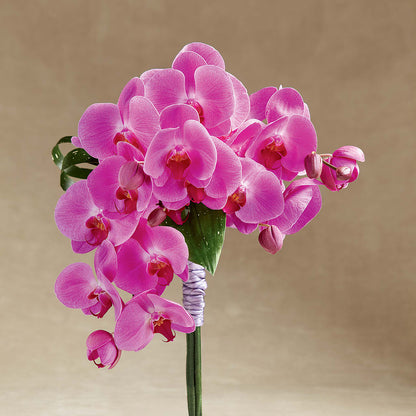 Glorious Bouquet –  Blooms And Gifts, Concord CA